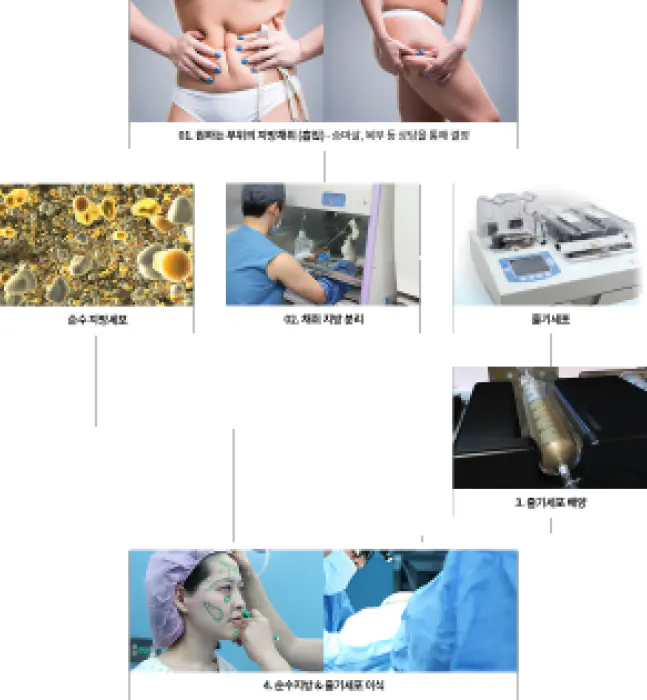 REAL细胞再生提取过程 2