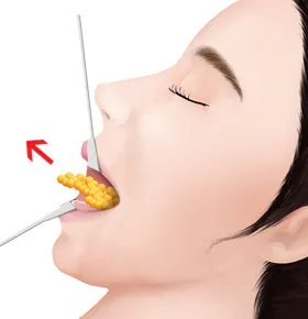 项目介绍 3