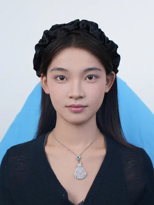 项目影像参考 12