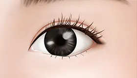 手术方法 6